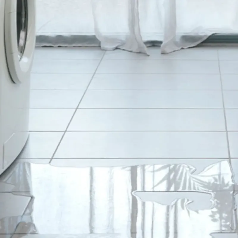 Appliance Leak Cleanup in Newark, NY