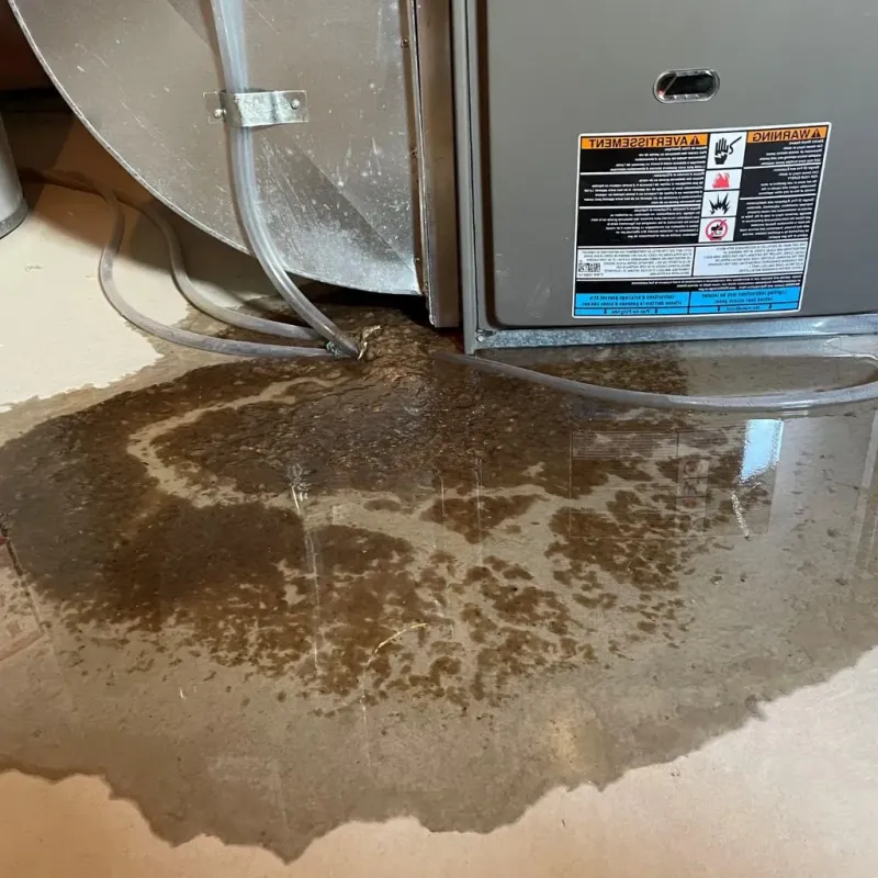 Pipe Burst and Leak Restoration in Newark, NY